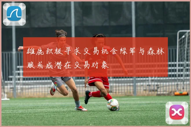 雄鹿积极寻求交易机会绿军与森林狼或成潜在交易对象